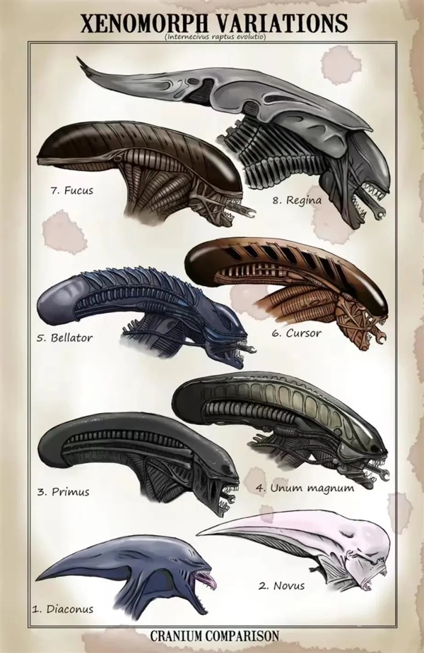 45年了！異形還是能把人類嚇出陰影