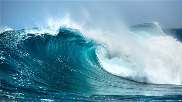 女生許愿不上班被浪撤回一個(gè)不 網(wǎng)友：還是要上班