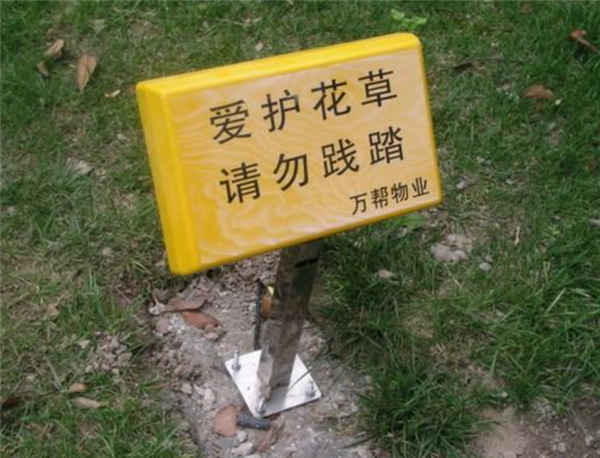 我們身邊竟然藏著這么多“偽裝者”