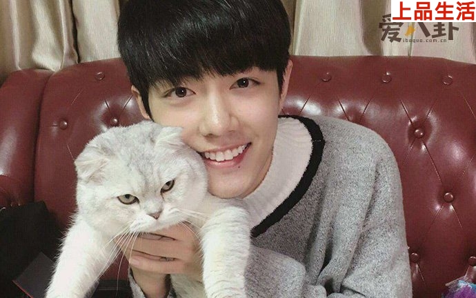 肖戰(zhàn)粉絲為何稱不看都能知曉其回應內容