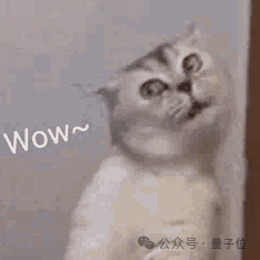 蘋果14年來嚴(yán)重產(chǎn)品泄漏！M4版MacBook還沒發(fā)：開箱視頻滿天飛