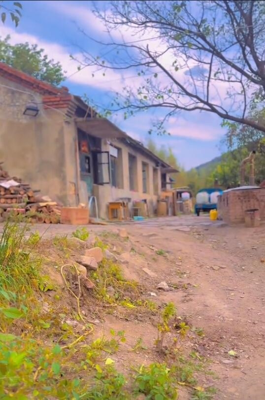 網(wǎng)友探訪東北雨姐拍攝基地人去房空：賬號7天未更新