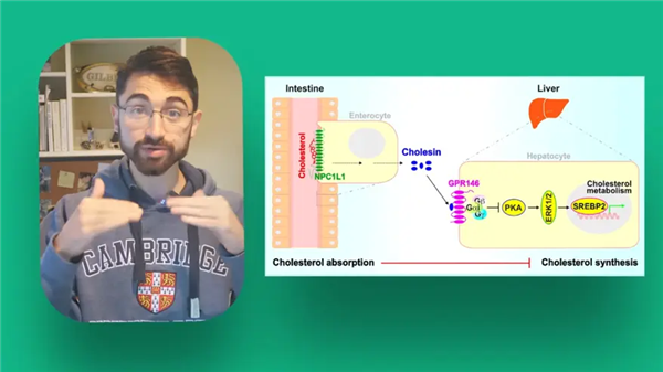 哈佛醫(yī)學(xué)生一個月吃720個雞蛋：膽固醇不升反降驚呆專家