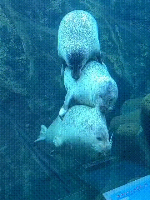 都年底了 8Gen3旗艦還值得買 而且很值！