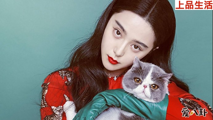 范冰冰又做錯了什么讓粉絲如此怒懟