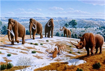 6500萬年前 哺乳動(dòng)物憑什么突然崛起統(tǒng)治地球：兩大優(yōu)勢(shì)