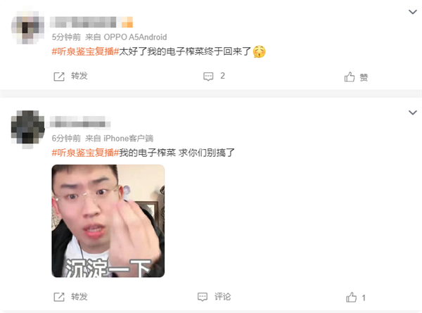 超10萬人觀看！2500萬粉絲網(wǎng)紅聽泉鑒寶復(fù)播 網(wǎng)友：電子榨菜回歸