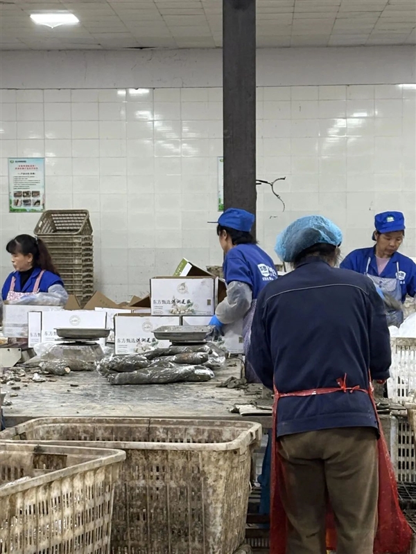 新疆的海鮮、甘肅的蝦 農(nóng)業(yè)大摸底太精彩了