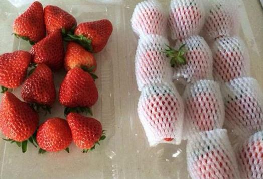 新疆的海鮮、甘肅的蝦 農(nóng)業(yè)大摸底太精彩了