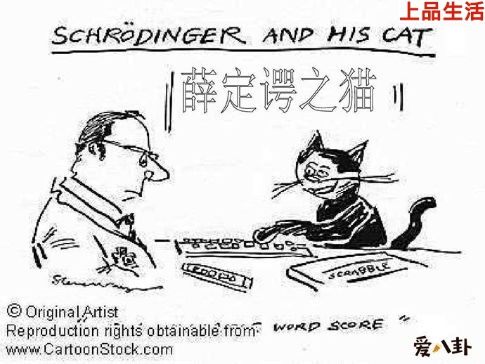 薛定諤的貓這個(gè)梗的真實(shí)意思