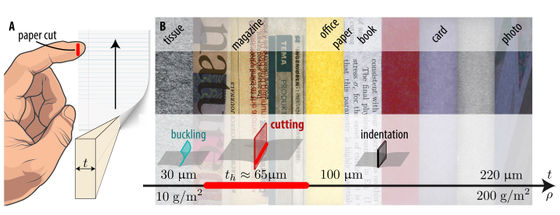 搞笑諾獎已經(jīng)過氣了 整活還得看我們菠蘿科學獎！