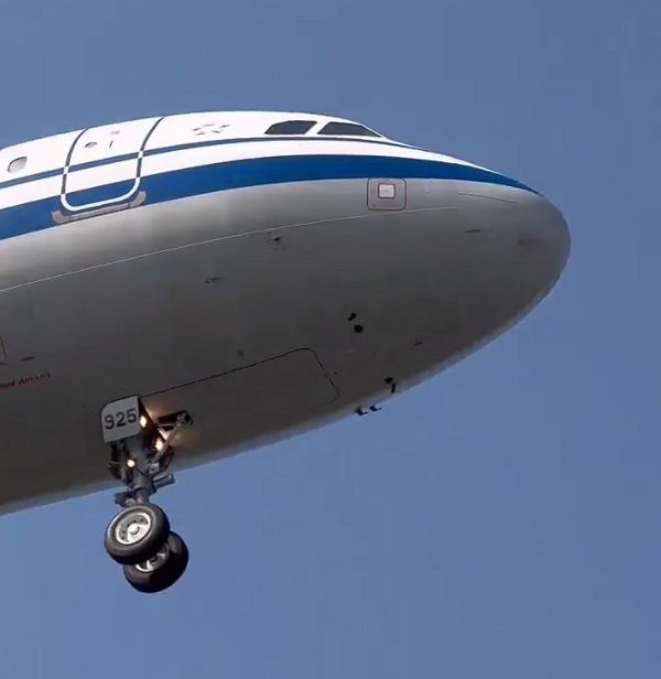 國(guó)航一飛機(jī)降落時(shí)撞到鳥(niǎo)群：機(jī)頭可見(jiàn)清晰血跡