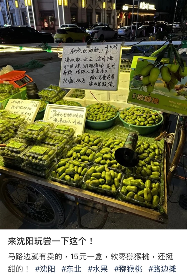 維C含量是橙子6倍！這種長得像棗的水果 竟是獼猴桃