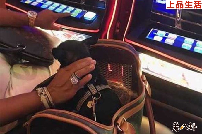 冒牌王子的奢侈品