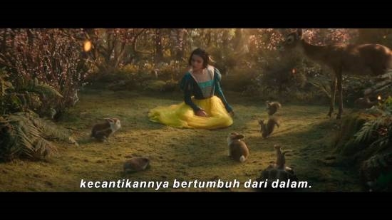 真人《白雪公主》新預(yù)告發(fā)布！拉丁公主你期待么