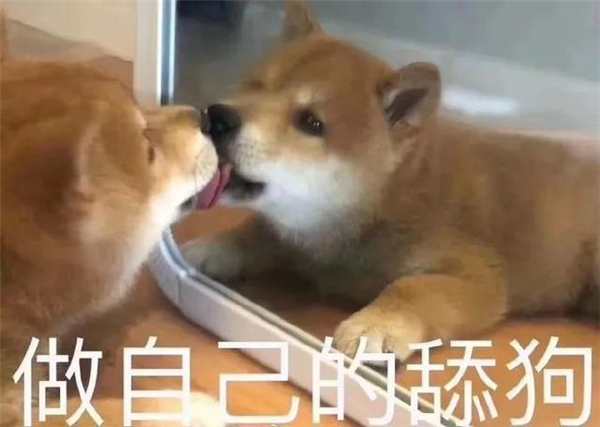 微信推出這個(gè)送禮功能 到底好不好用