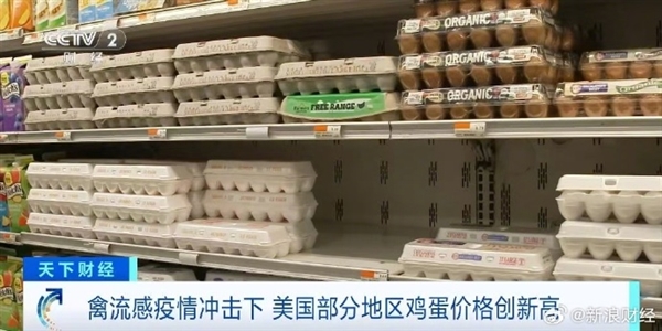 蛋價飆升：美國部分地區(qū)一顆雞蛋5塊多 真吃不起了