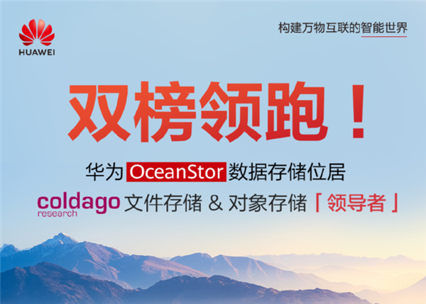 華為數(shù)據(jù)存儲(chǔ)拿下國(guó)內(nèi)雙榜第一：比肩IBM、微軟