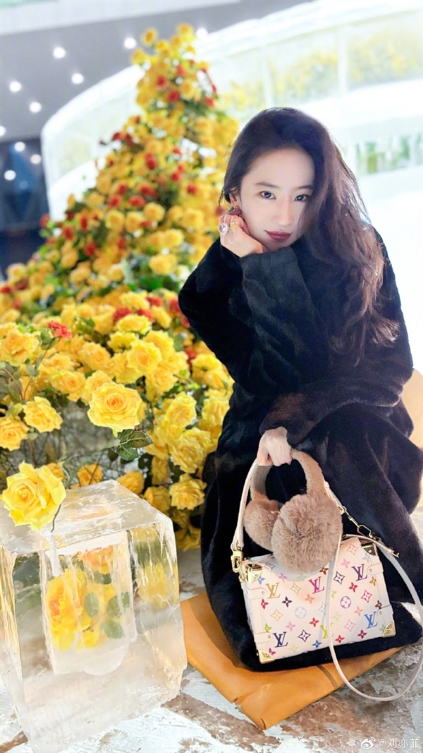 說去就去！劉亦菲去哈爾濱看冰封黃玫瑰：美麗凍人