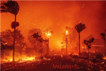 經(jīng)濟(jì)學(xué)家：加州山火損失可能達(dá)2500億美元 超卡特里娜颶風(fēng)損失