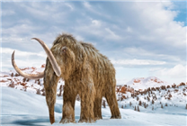 不可思議！美國一公司宣布復活猛犸象等史前生物：科學家擔憂