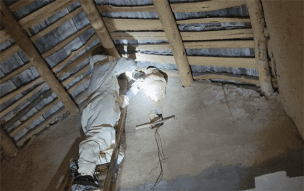 安徽農(nóng)戶家驚現(xiàn)50厘米巨型馬蜂窩 大如“水桶”