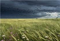 北方多地現(xiàn)9級大風(fēng)：速度堪比行駛中的地鐵