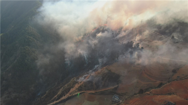 多名熊孩子野外玩火致燒山：家長(zhǎng)賠償145萬(wàn)元