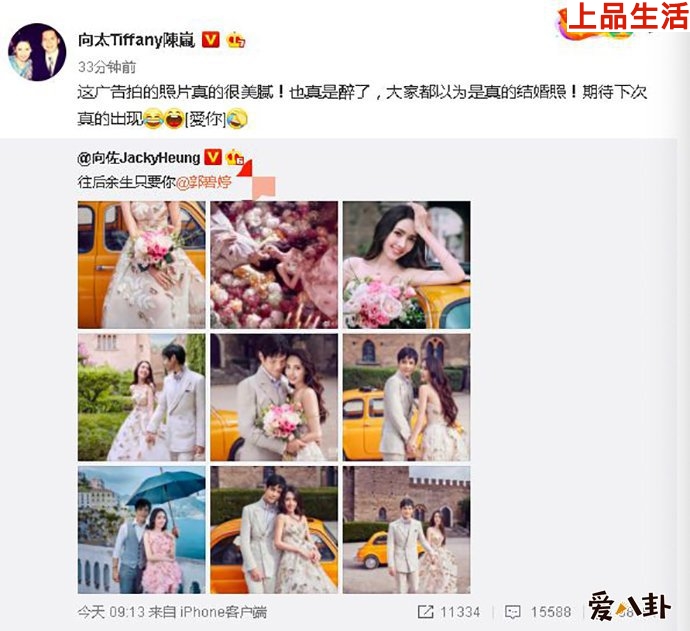 向佐郭碧婷兩人的結婚是假的？