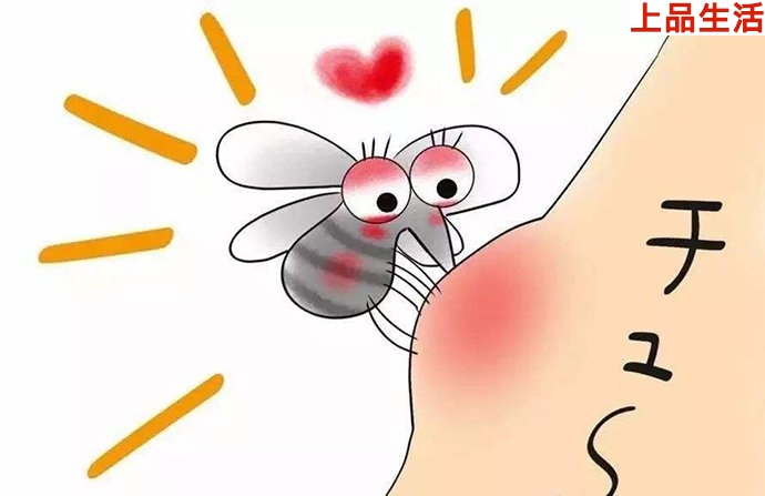 叮咬人的蚊子都是“準(zhǔn)媽媽”