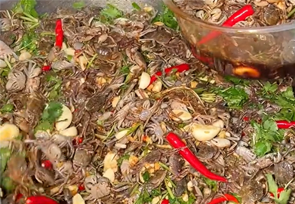 男童3年前生吃蟹腿致寄生蟲鉆進(jìn)心臟：感染肺吸蟲病