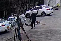 男子科二沒過踹門打狗砸圍欄泄憤 教練：小考沒必要破防