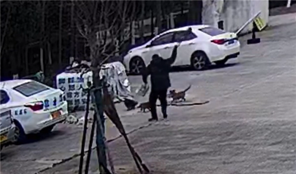 男子科二沒過踹門打狗砸圍欄泄憤 教練：小考沒必要破防