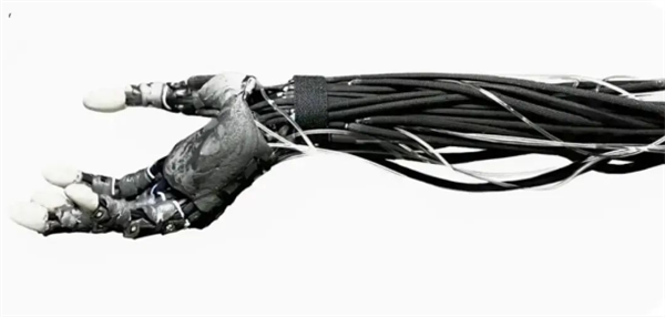 外觀驚悚！波蘭發(fā)布可雙足行走肌肉骨骼機(jī)器人