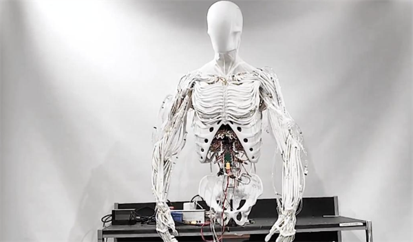 外觀驚悚！波蘭發(fā)布可雙足行走肌肉骨骼機(jī)器人
