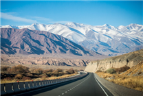 高速上違停看直播 司機稱霧太大休息會兒 9分沒了