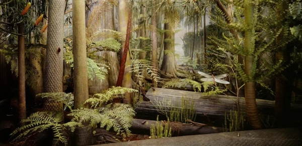 亞洲大露天煤礦 百米厚煤層足足開采了118年！古代植物咋都埋那了