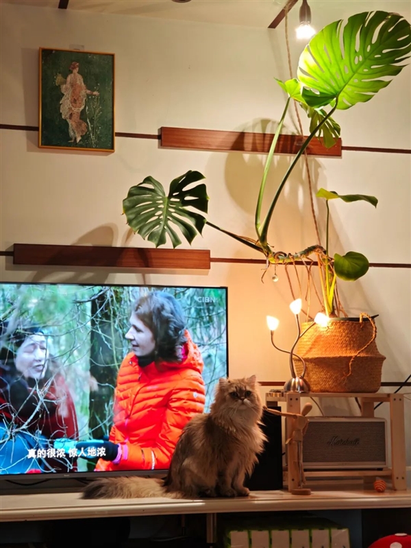 一件超小事：做完在家中就能體會(huì)露營的快樂！