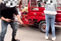 為博流量無下限！四川3名網(wǎng)紅街頭拍低俗視頻被行政處罰