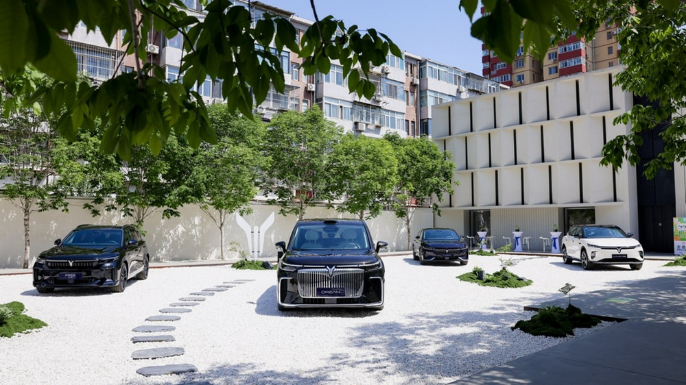 主題外交沙龍在京舉辦，14位駐華外交使節(jié)點(diǎn)贊嵐圖汽車